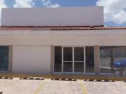 Locales en renta Benito Juárez Norte