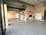 LOCALES EN RENTA EN CASTILLOTLA