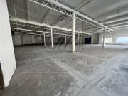 Locales en Renta en Industrial