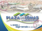 Locales en Renta, Plaza comercial al Oriente, Aguascalientes