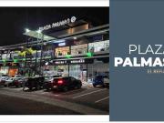 Locales en Venta en Plaza Palmas Modelo A– Excelente...