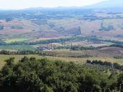 Locali o capannoni in vendita di 1200 m² in Strada Senza...