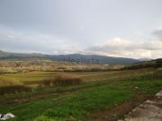 Locali o capannoni in vendita di 300000 m²