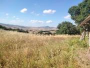 Locali o capannoni in vendita di 500 m²