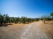 Locali o capannoni in vendita di 500 m² in Strada...