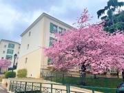 Location 3 Pièces loué vide Avenue de Buzenval à Rueil... Location 3 Pièces loué vide Avenue de Buzenval à Rueil...