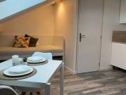 Location Appartement 1 pièce 16 m2 Rennes