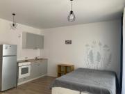 Location Appartement 1 pièce 17 m2 Lyon 5ème