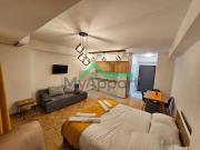 Location Appartement 1 pièce 18 m2 Toulouse