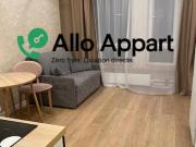 Location Appartement 1 pièce 19 m2 Lyon 2ème