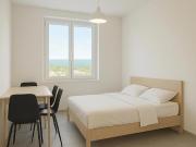 Location Appartement 1 pièce 19 m2 Souillac