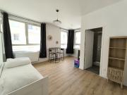 Location Appartement 1 pièce 20.38 m2 Saint Etienne