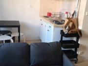 Location Appartement 1 pièce 20 m2 Grenoble
