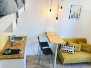 Location Appartement 1 pièce 20 m2 Villeurbanne