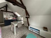 Location appartement 1 pièce 20m² à Sens 89100