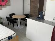 Location Appartement 1 pièce 20m² CHARLIEU 42190