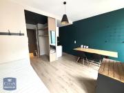 Location Appartement 1 pièce 20m² ST ETIENNE 42100