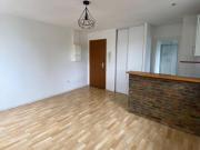 Location Appartement 1 pièce 21.1 m2 Strasbourg