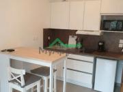 Location Appartement 1 pièce 21 m2 Arnas