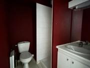 Location Appartement 1 pièce 21m² ST ETIENNE 42000
