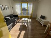 Location Appartement 1 pièce 22 m2 Lille