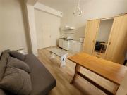 Location appartement 1 pièce 24.61m² à Lille 59800