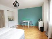 Location Appartement 1 pièce 24 m2 Lyon 1er