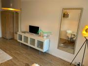 Location Appartement 1 pièce 24 m2 Lyon 6ème