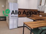 Location Appartement 1 pièce 24 m2 Lyon 7ème