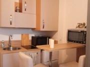 Location Appartement 1 pièce 24 m2 Lyon 8ème