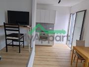 Location Appartement 1 pièce 25 m2 Issy les Moulineaux