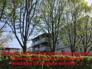 Location Appartement 1 pièce 25 m2 L'Isle Adam