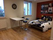 Location Appartement 1 pièce 25 m2 Lyon 3ème