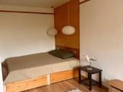 Location Appartement 1 pièce 25 m2 Lyon 7ème