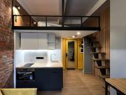 Location Appartement 1 pièce 25 m2 Lyon 7ème