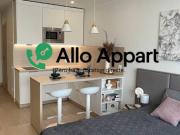 Location Appartement 1 pièce 26 m2 Lyon 1er