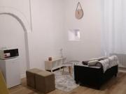 Location Appartement 1 pièce 26 m2 Nantes