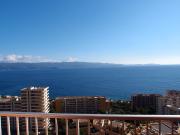 Location Appartement 1 pièce 26m² AJACCIO 20000