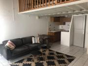 Location Appartement 1 pièce 27 m2 Lyon 1er