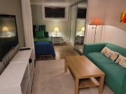 Location Appartement 1 pièce 29 m2 Lyon 1er