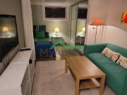 Location Appartement 1 pièce 29 m2 Lyon 1er