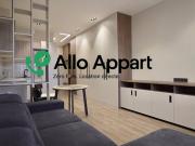 Location Appartement 1 pièce 29 m2 Lyon 1er