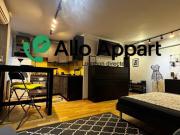 Location Appartement 1 pièce 29 m2 Nice