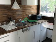 Location Appartement 1 pièce 30 m2 Ambilly