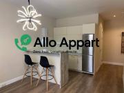 Location Appartement 1 pièce 30 m2 Lyon 4ème
