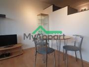 Location Appartement 1 pièce 30 m2 Vincennes