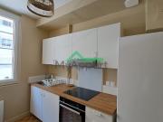 Location Appartement 1 pièce 31 m2 Lyon 7ème