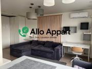 Location Appartement 1 pièce 31 m2 Lyon 8ème