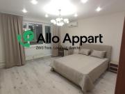Location Appartement 1 pièce 33 m2 Lyon 7ème