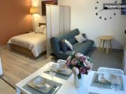 Location Appartement 1 pièce 34 m2 Strasbourg